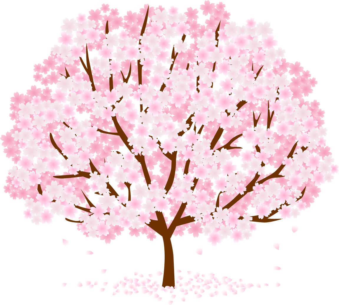 Sakura Tree Illustration